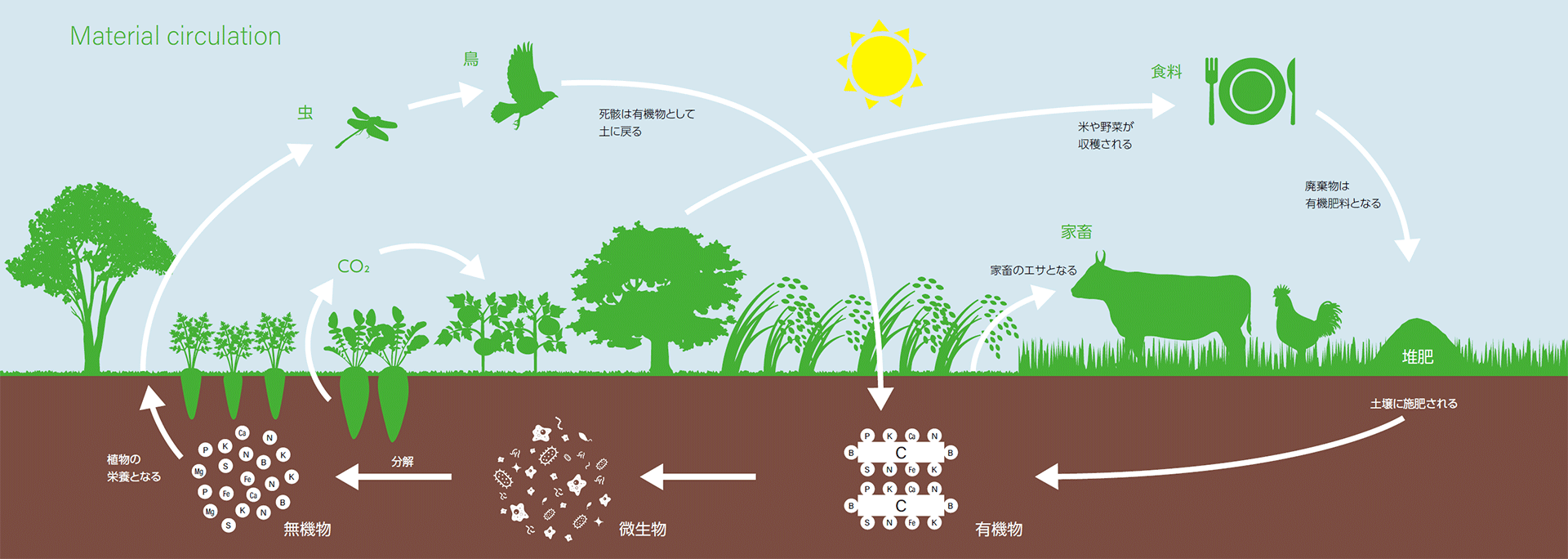 SOFIXがつくる物質循環型農業