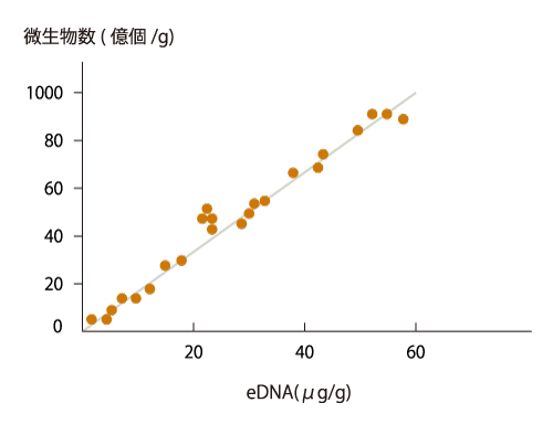 eDNA法による総細菌数