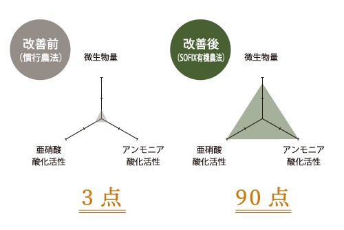 肥料 硝酸態窒素 変換