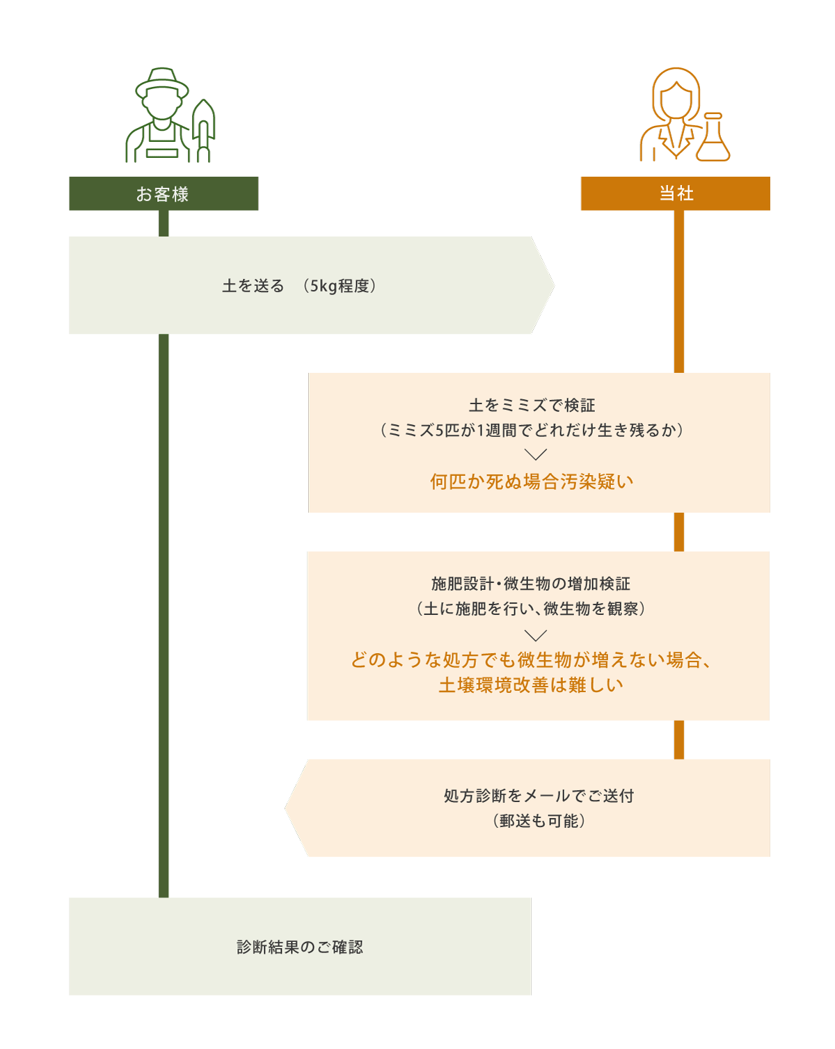 精密処方診断の流れ