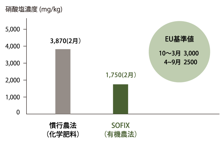 法蓮草の硝酸塩の含有量比較グラフ