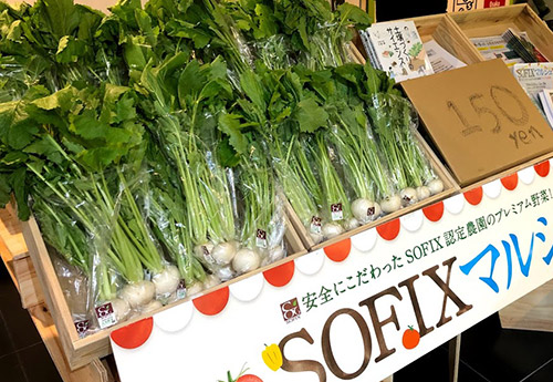 SOFIXブランド野菜