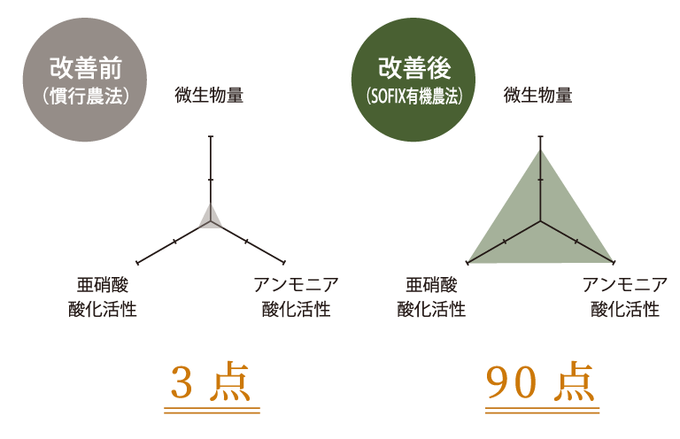 レーダーチャート　土壌改善前と改善後の微生物量・亜硝酸酸化活性・アンモニア酸化活性